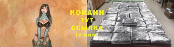 гашик Абаза