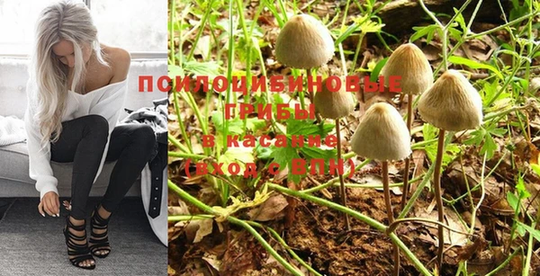 прущий лед Михайловка
