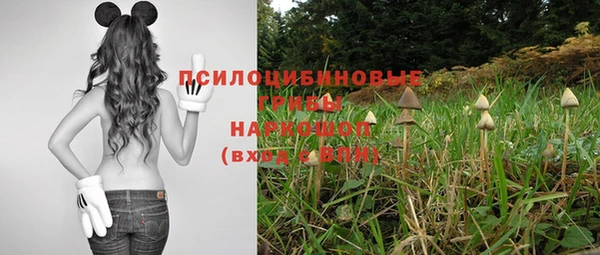 шишки Абдулино