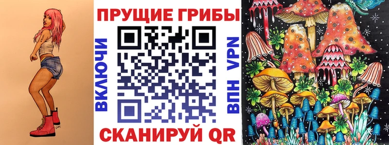 сайты даркнета клад  Череповец  Галлюциногенные грибы Psilocybe  дарнет шоп 
