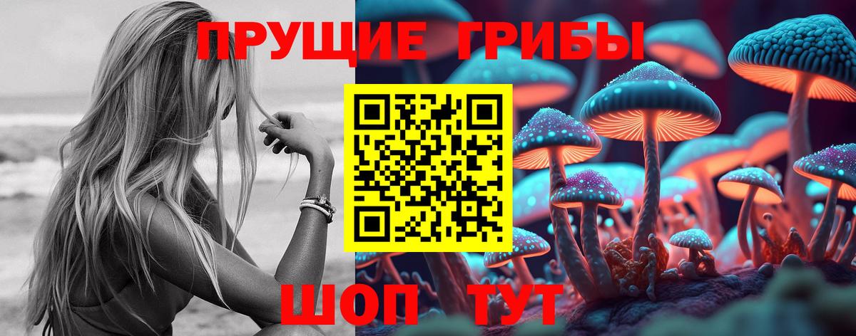 Галлюциногенные грибы MAGIC MUSHROOMS  Вход с VPN  Череповец 